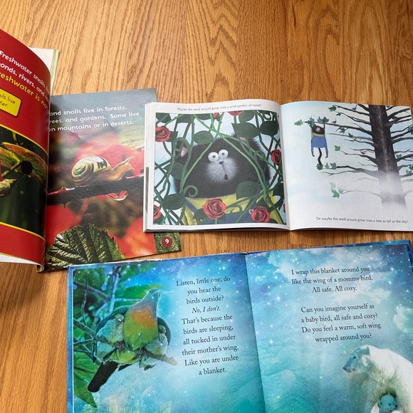 Children's Picture Book Collection - Picture 13 of 13